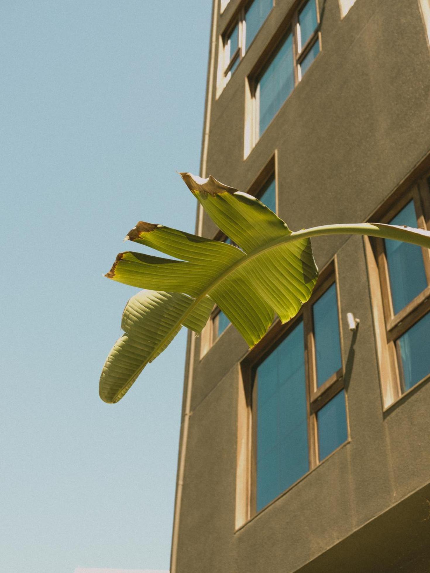 Hotel Eco Boutique Bidasoa Santiago de Chile Zewnętrze zdjęcie