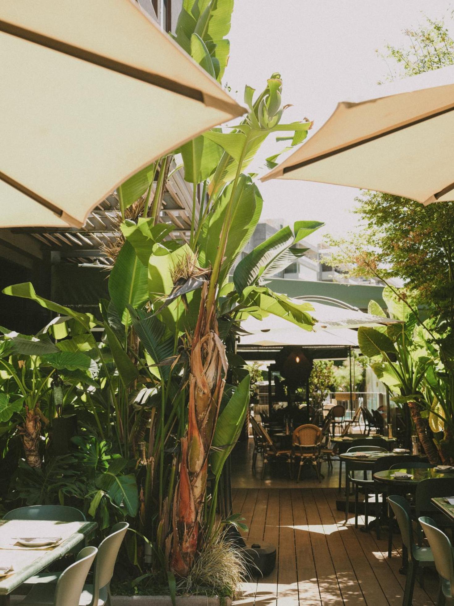 Hotel Eco Boutique Bidasoa Santiago de Chile Zewnętrze zdjęcie
