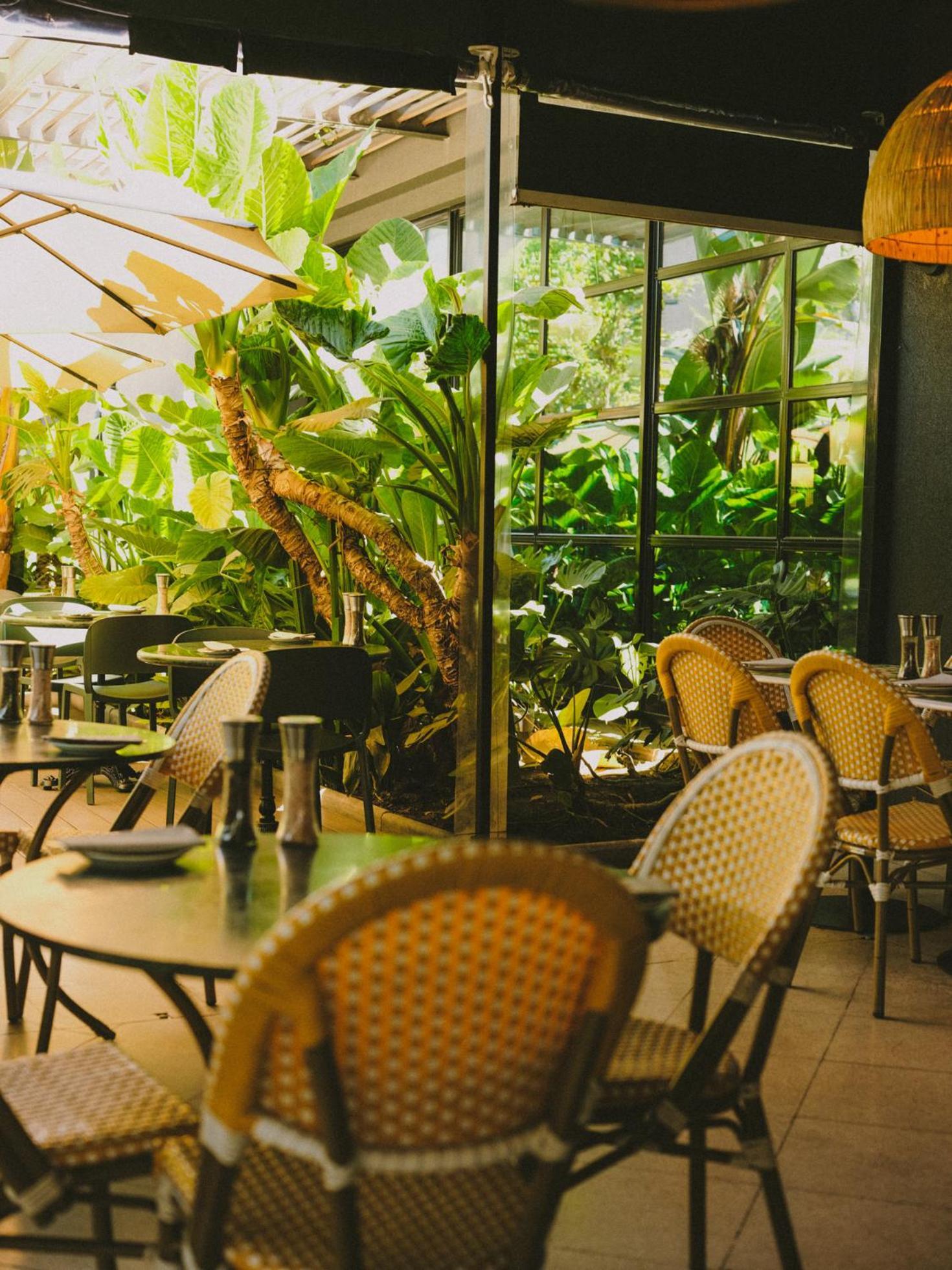 Hotel Eco Boutique Bidasoa Santiago de Chile Zewnętrze zdjęcie